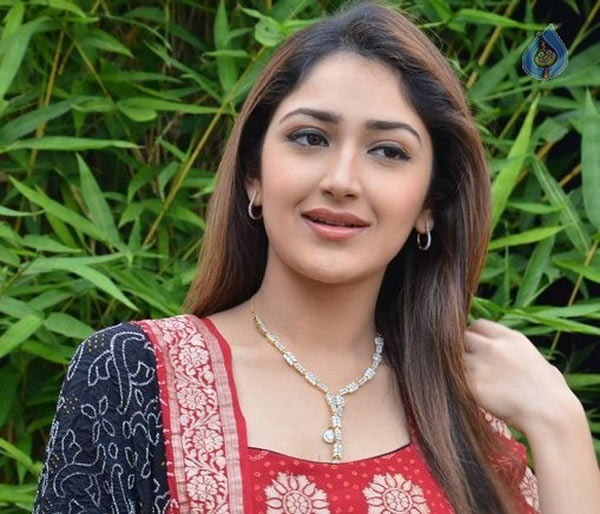 sayyeshaa,akhil movie,akkineni akhil,vinayak  సినీజోష్ ఇంటర్వ్యూ-సయేషా(అఖిల్)